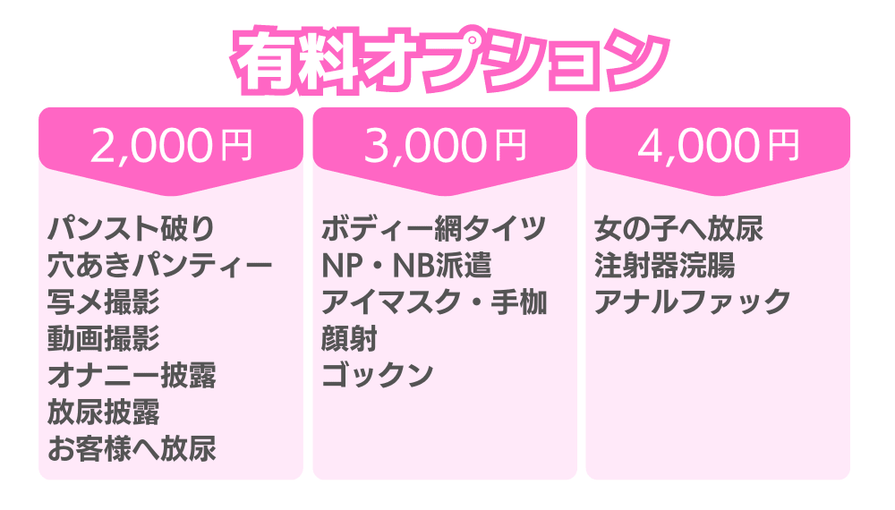 有料オプション